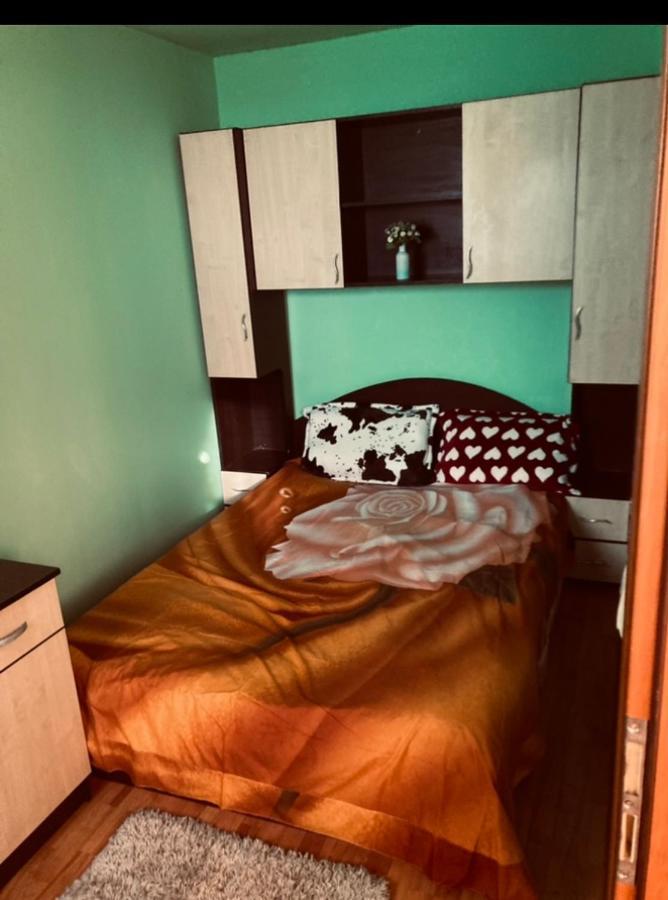 Apartament 2 Camere アラド エクステリア 写真